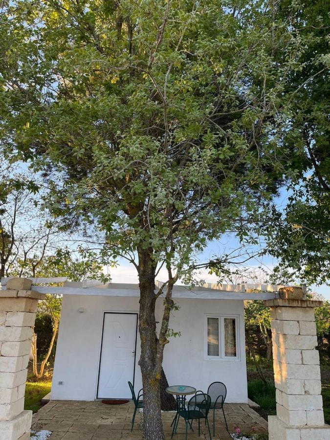 Agriturismo Tenuta La Monaca Aradeo Екстер'єр фото